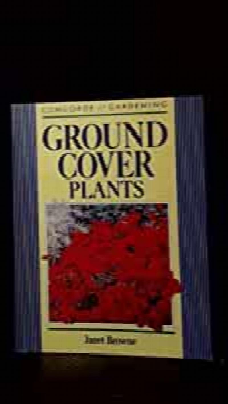 ground-cover-plants