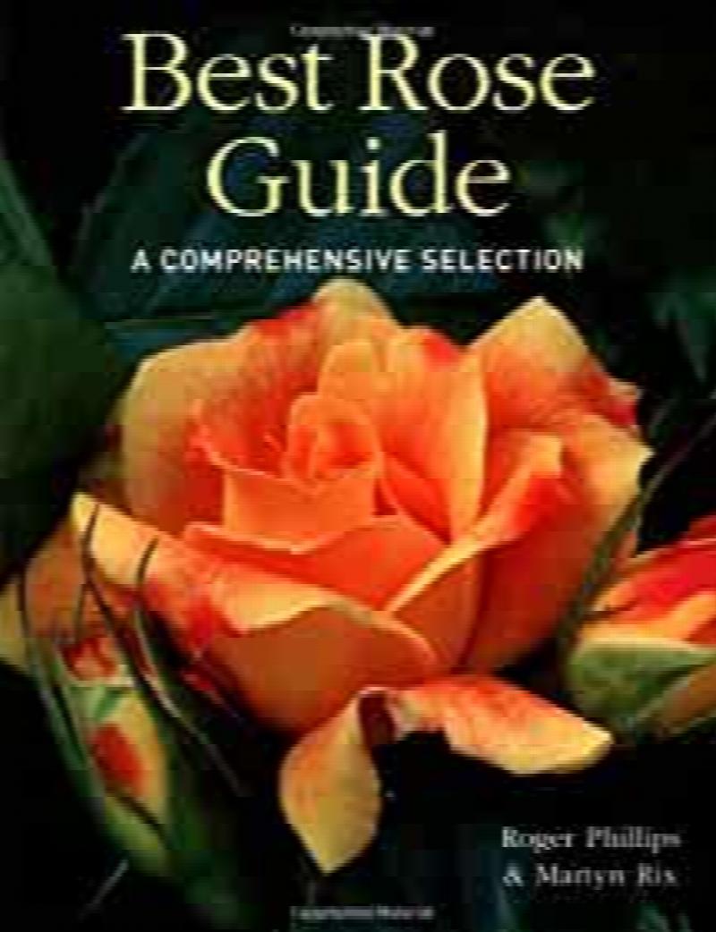 Best Rose Guide A Comprehensive Selection