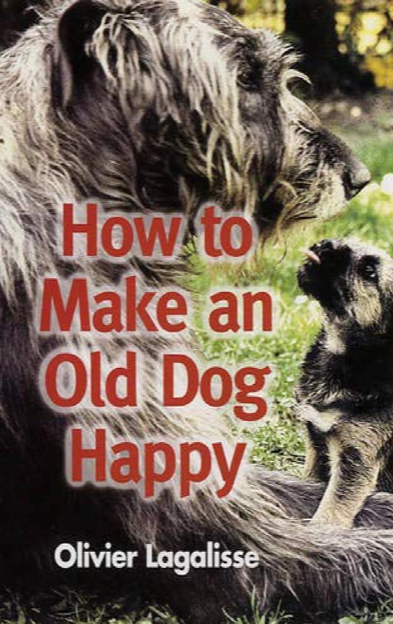 How To Make An Old Dog Happy